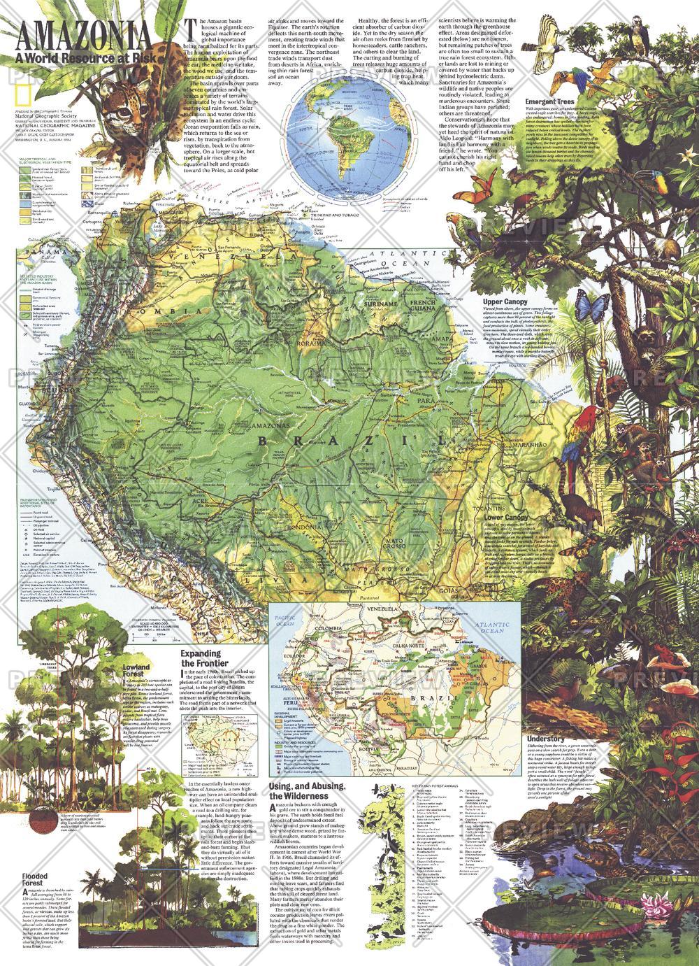 Amazonia, a World Resource At Risk - Published 1992 by National Geographic